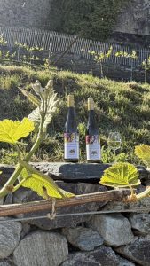 Premiere im Limburger Schloßwingert: Die erste Ernte ist übergeben!
